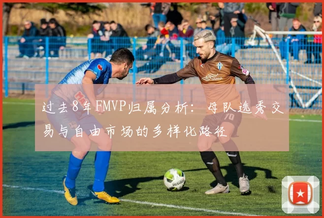 过去8年FMVP归属分析：母队选秀交易与自由市场的多样化路径