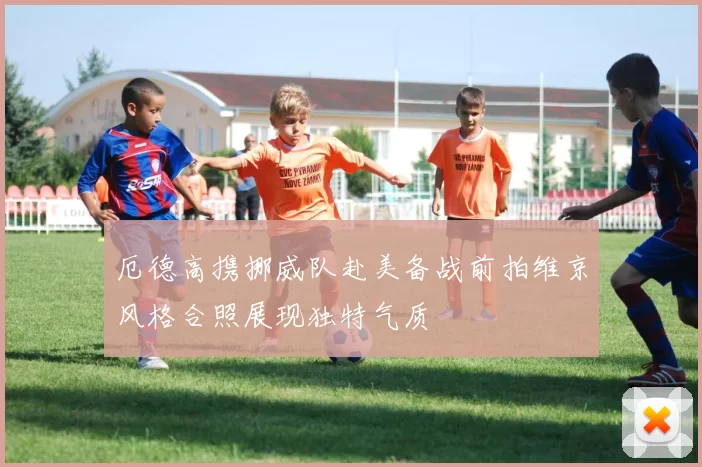 厄德高携挪威队赴美备战前拍维京风格合照展现独特气质